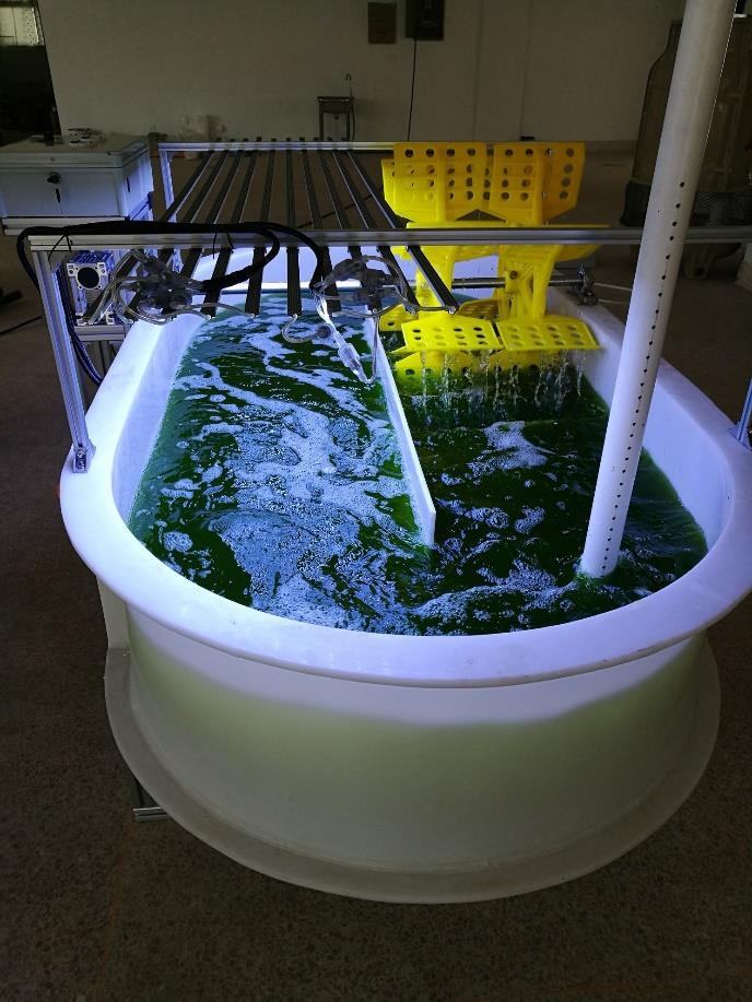 Vasca aperta per la coltivazione di spirulina